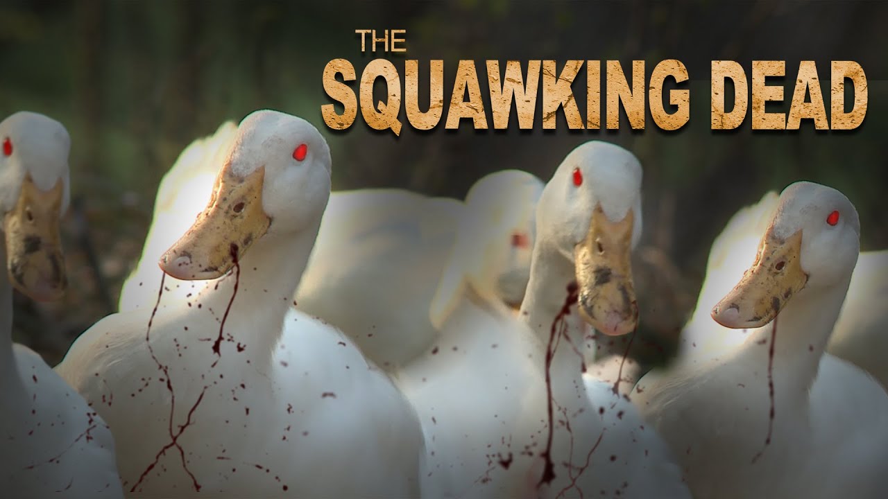 Grapevine Creek Ducks Featured in Comedy-Horror Short Film!